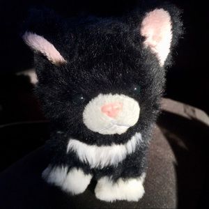 american girl tuxedo cat